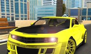 City Car Driving 3d