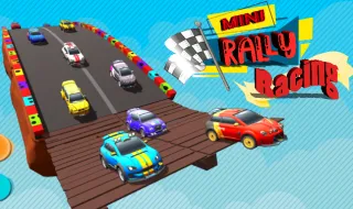Mini Rally Racing