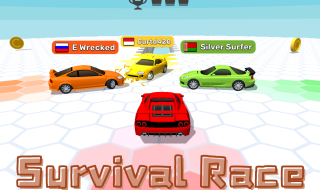Play Survival Race now!